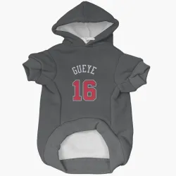 Chicago Bulls Mouhamadou Gueye Black Pet Hoodie for Dog & Cat