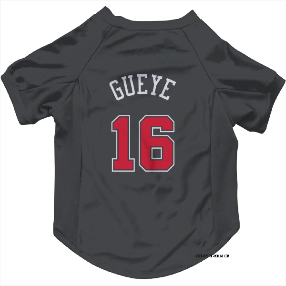 Chicago Bulls Mouhamadou Gueye Black Pet Jersey for Dog & Cat