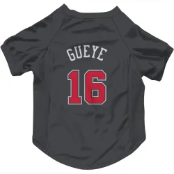 Chicago Bulls Mouhamadou Gueye Black Pet Jersey for Dog & Cat