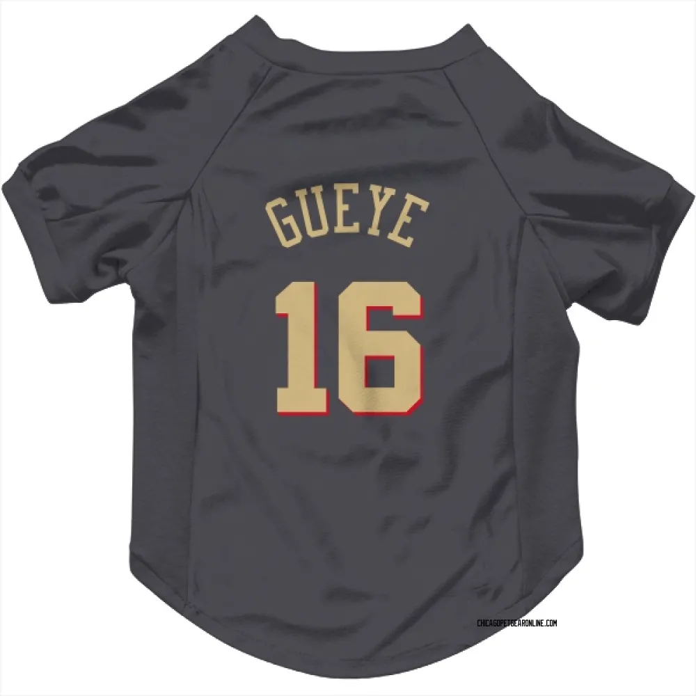 Chicago Bulls Mouhamadou Gueye Gray Pet Jersey for Dog & Cat