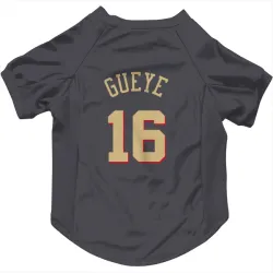 Chicago Bulls Mouhamadou Gueye Gray Pet Jersey for Dog & Cat
