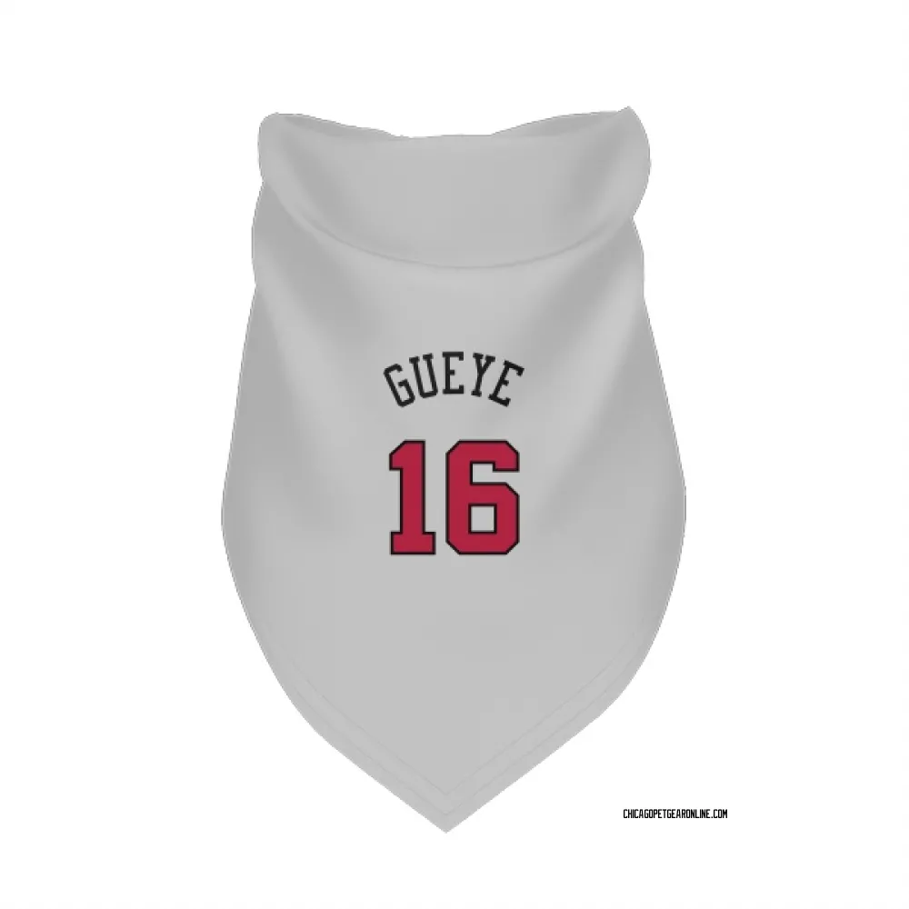 Chicago Bulls Mouhamadou Gueye White Pet Bandana for Dog & Cat