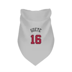 Chicago Bulls Mouhamadou Gueye White Pet Bandana for Dog & Cat