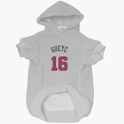 Chicago Bulls Mouhamadou Gueye White Pet Hoodie for Dog & Cat