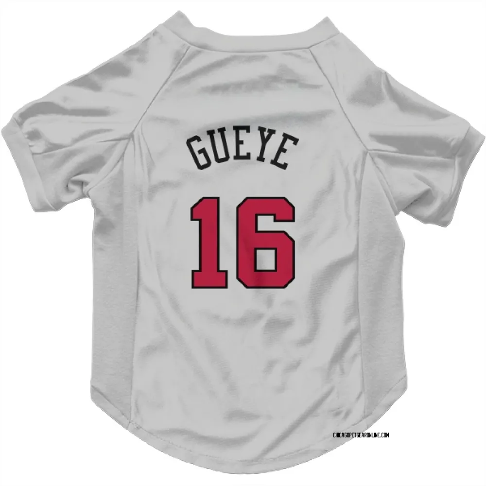Chicago Bulls Mouhamadou Gueye White Pet Jersey for Dog & Cat