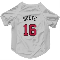 Chicago Bulls Mouhamadou Gueye White Pet Jersey for Dog & Cat