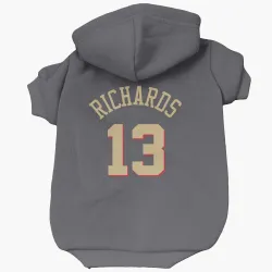 Chicago Bulls Nick Richards Gray Pet Hoodie for Dog & Cat