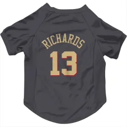 Chicago Bulls Nick Richards Gray Pet Jersey for Dog & Cat