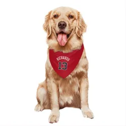 Chicago Bulls Nick Richards Red Pet Bandana for Dog & Cat