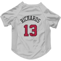 Chicago Bulls Nick Richards White Pet Jersey for Dog & Cat