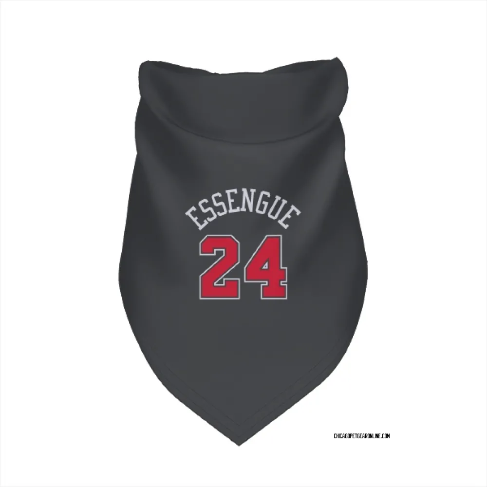 Chicago Bulls Noa Essengue Black Pet Bandana for Dog & Cat