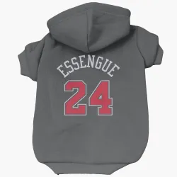 Chicago Bulls Noa Essengue Black Pet Hoodie for Dog & Cat