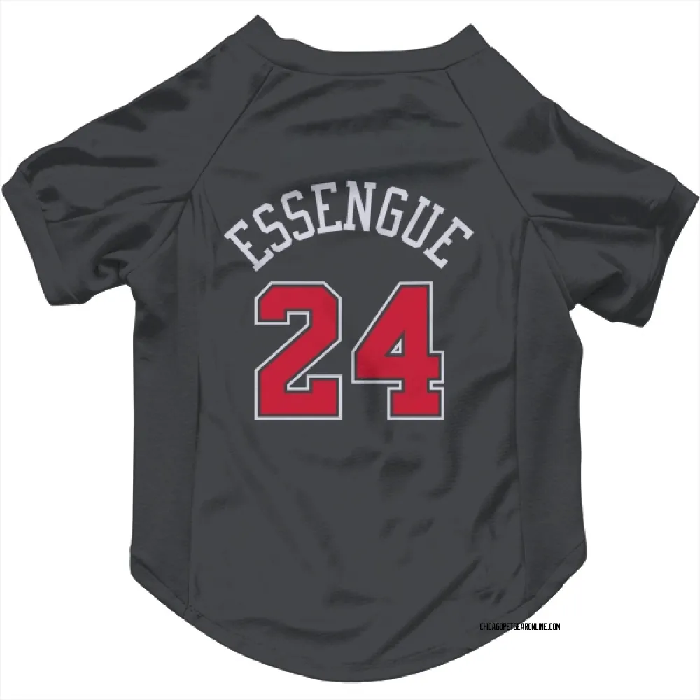 Chicago Bulls Noa Essengue Black Pet Jersey for Dog & Cat