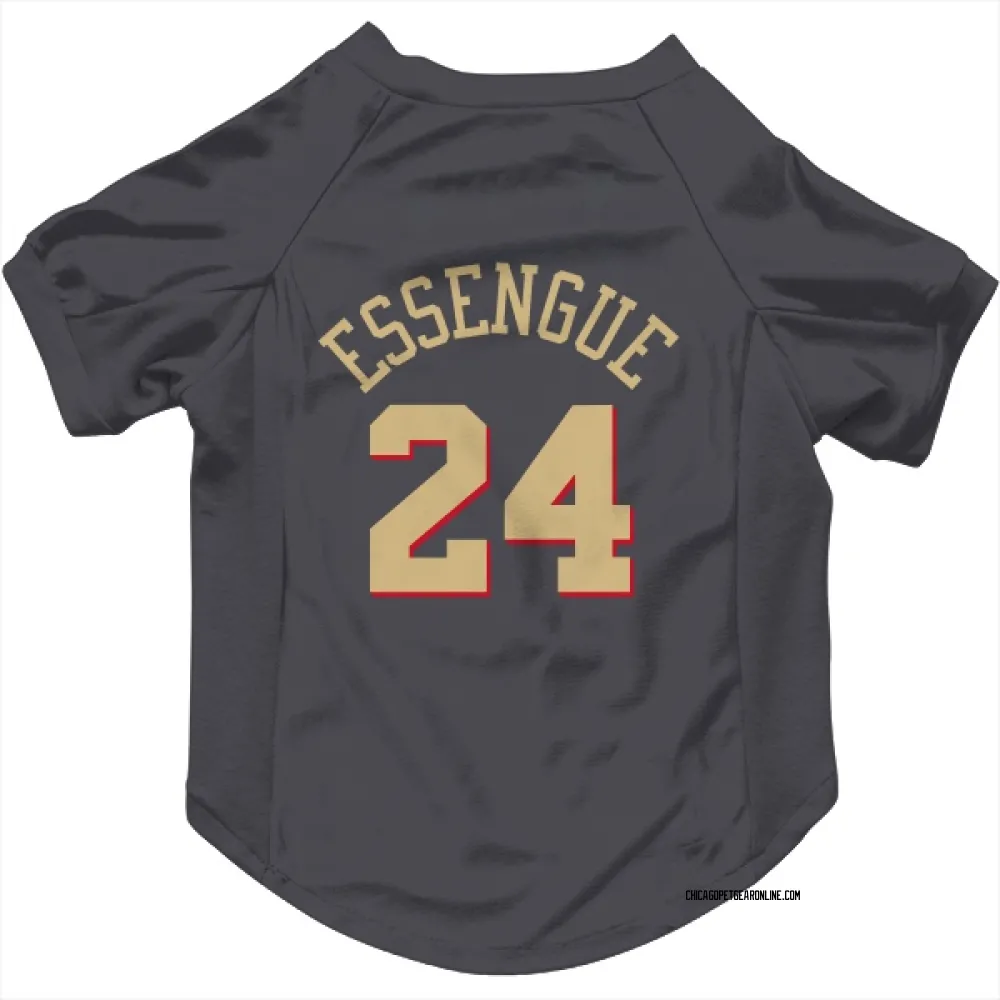 Chicago Bulls Noa Essengue Gray Pet Jersey for Dog & Cat
