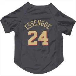 Chicago Bulls Noa Essengue Gray Pet Jersey for Dog & Cat