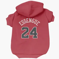 Chicago Bulls Noa Essengue Red Pet Hoodie for Dog & Cat