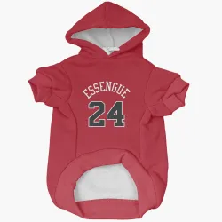 Chicago Bulls Noa Essengue Red Pet Hoodie for Dog & Cat