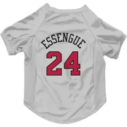 Chicago Bulls Noa Essengue White Pet Jersey for Dog & Cat