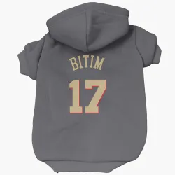 Chicago Bulls Onuralp Bitim Gray Pet Hoodie for Dog & Cat