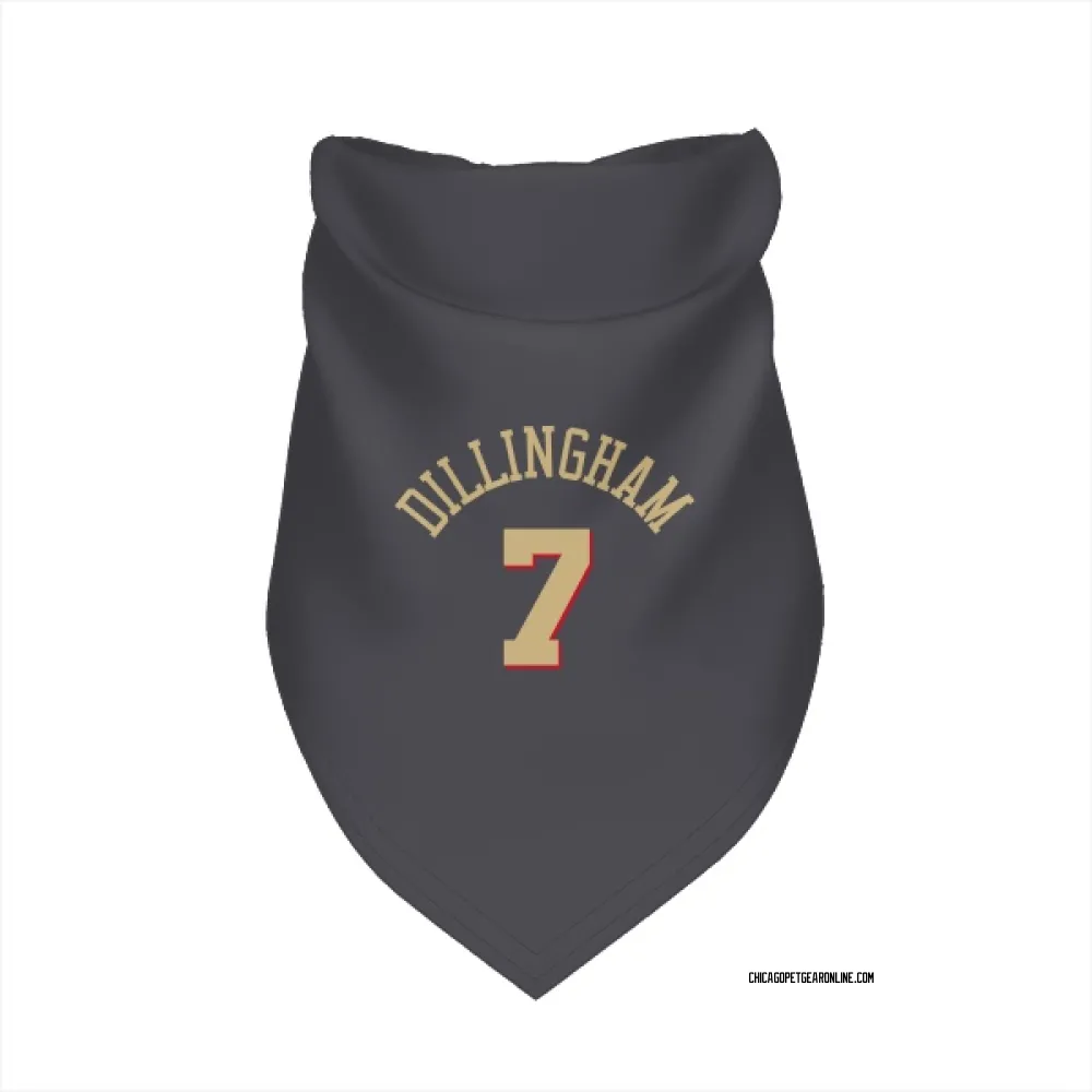 Chicago Bulls Rob Dillingham Gray Pet Bandana for Dog & Cat