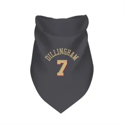 Chicago Bulls Rob Dillingham Gray Pet Bandana for Dog & Cat