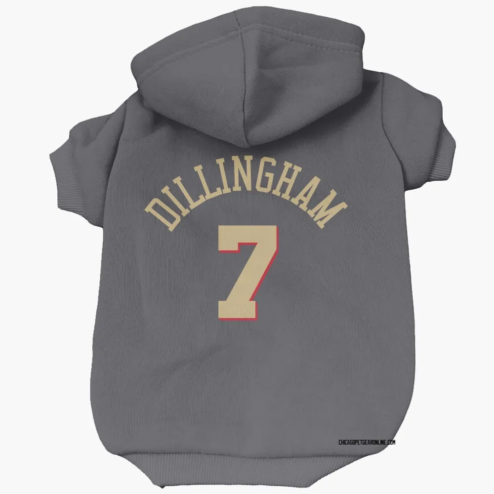Chicago Bulls Rob Dillingham Gray Pet Hoodie for Dog & Cat