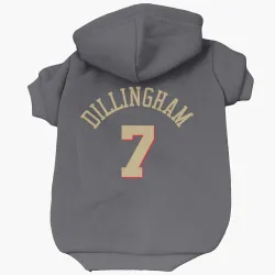 Chicago Bulls Rob Dillingham Gray Pet Hoodie for Dog & Cat