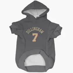 Chicago Bulls Rob Dillingham Gray Pet Hoodie for Dog & Cat