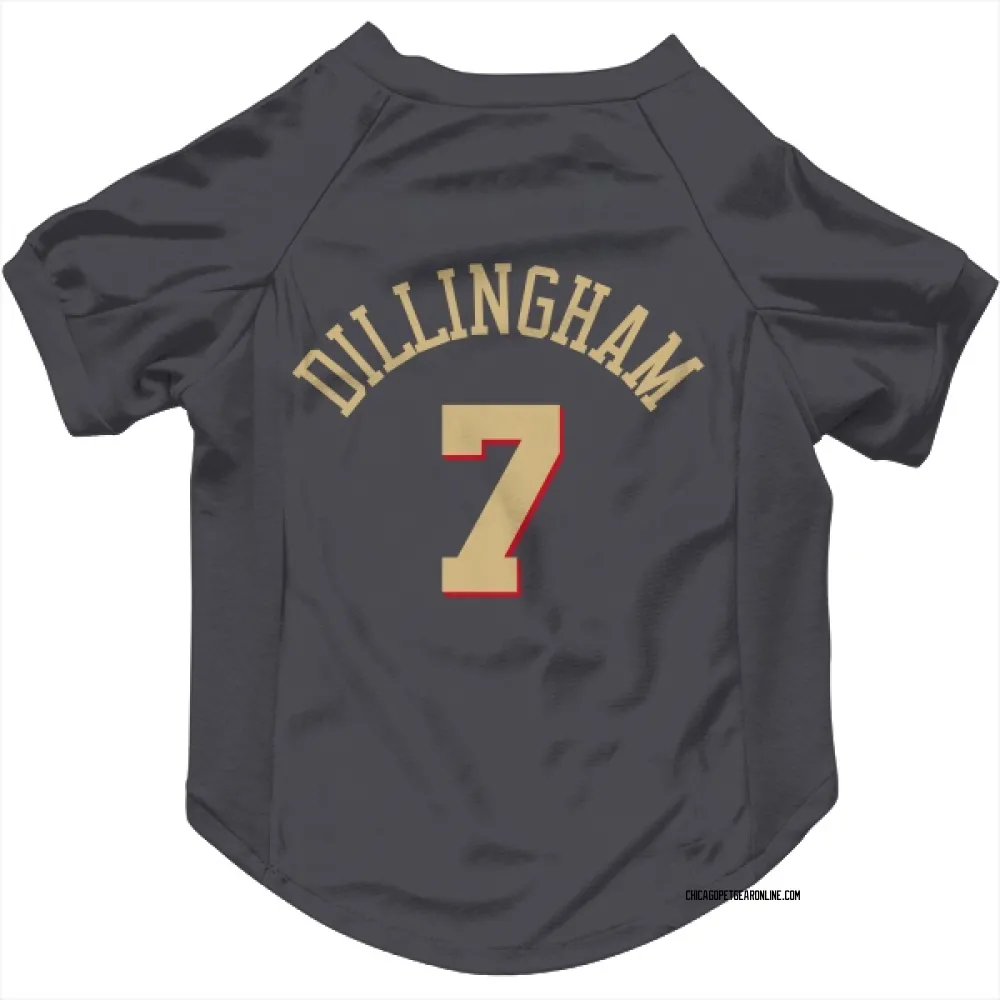Chicago Bulls Rob Dillingham Gray Pet Jersey for Dog & Cat