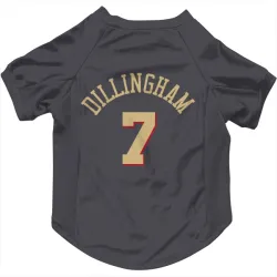 Chicago Bulls Rob Dillingham Gray Pet Jersey for Dog & Cat