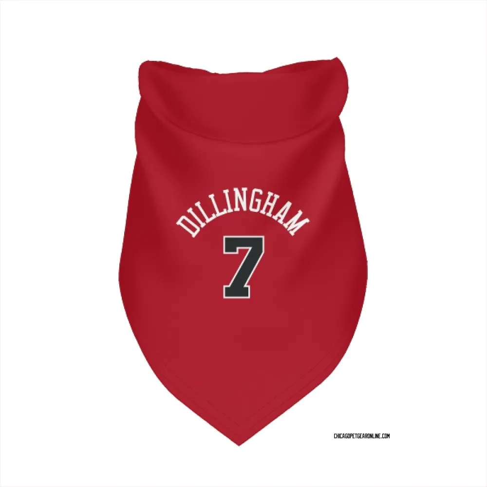 Chicago Bulls Rob Dillingham Red Pet Bandana for Dog & Cat