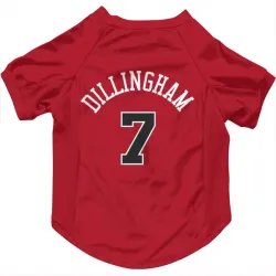 Chicago Bulls Rob Dillingham Red Pet Jersey for Dog & Cat
