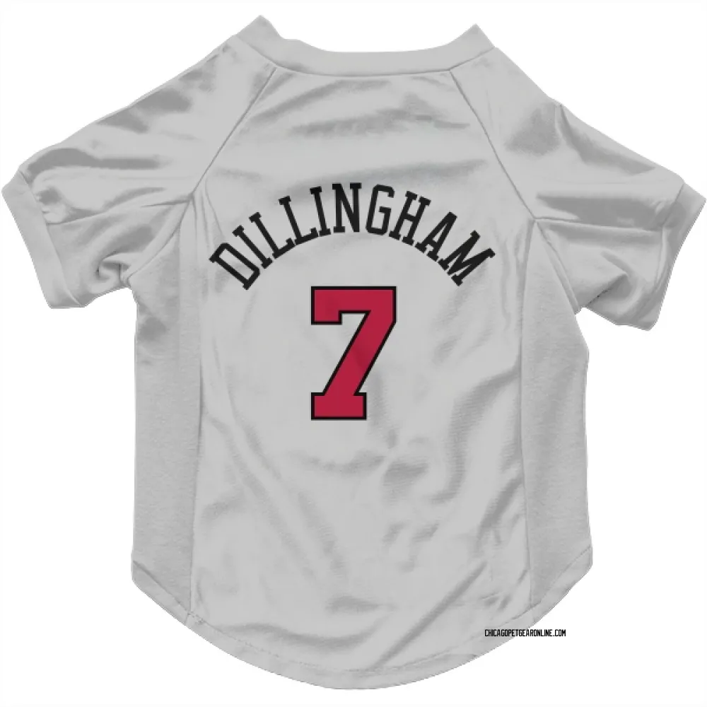 Chicago Bulls Rob Dillingham White Pet Jersey for Dog & Cat
