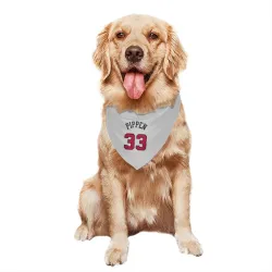 Chicago Bulls Scottie Pippen White Pet Bandana for Dog & Cat