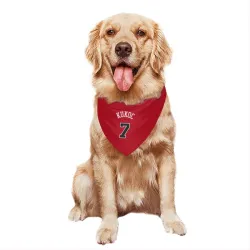 Chicago Bulls Toni Kukoc Red Pet Bandana for Dog & Cat