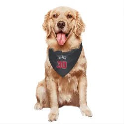 Chicago Bulls Tre Jones Black Pet Bandana for Dog & Cat