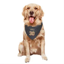Chicago Bulls Tre Jones Gray Pet Bandana for Dog & Cat