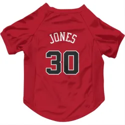 Chicago Bulls Tre Jones Red Pet Jersey for Dog & Cat