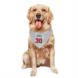 Chicago Bulls Tre Jones White Pet Bandana for Dog & Cat