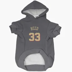 Chicago Bulls Willie Reed Gray Pet Hoodie for Dog & Cat