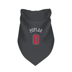 Chicago Bulls Wooga Poplar Black Pet Bandana for Dog & Cat